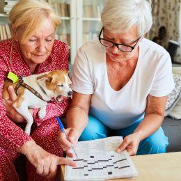 The Good Life Winter 2026 Newsletter